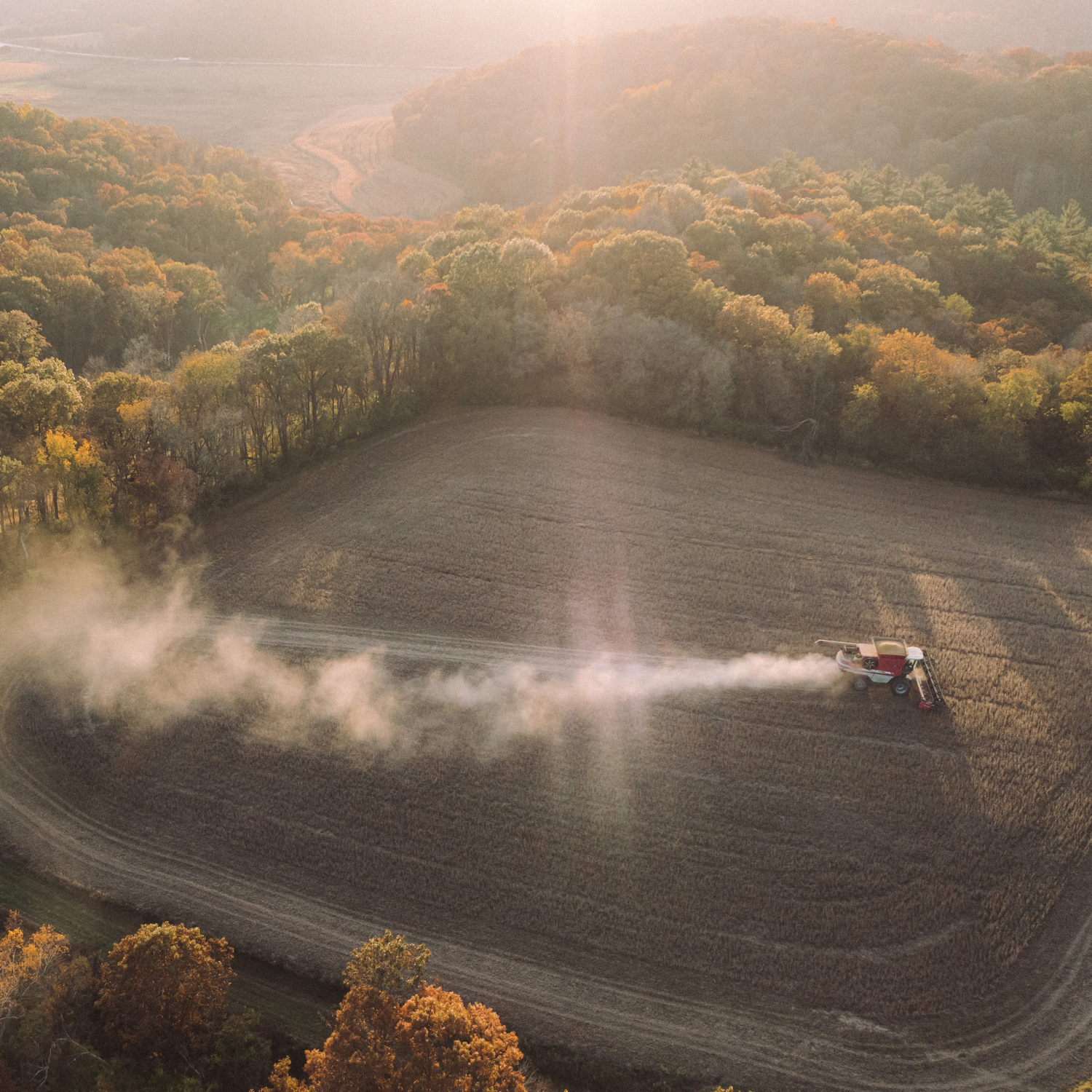 Wildlife Habitat Management: Integrating Food Plots and Natural Forage