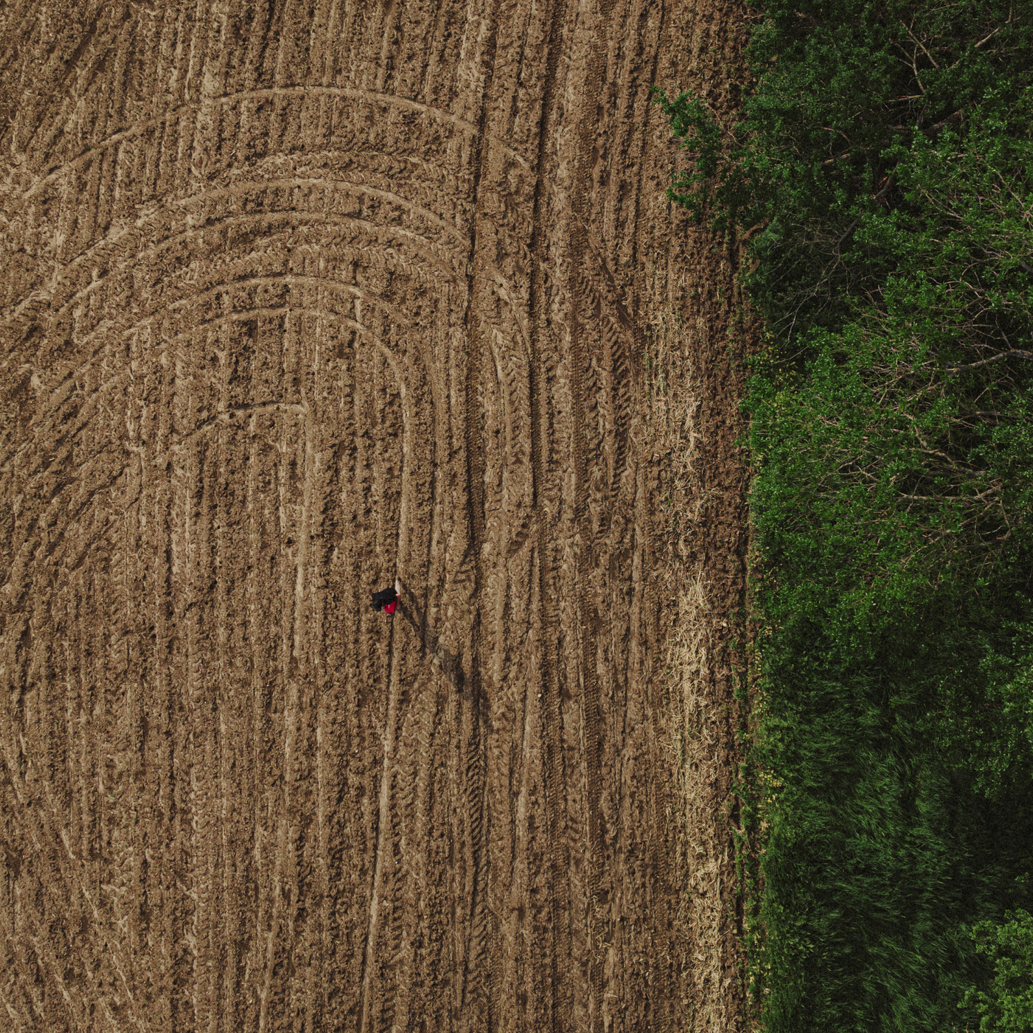 The Importance of Soil Testing for Food Plots