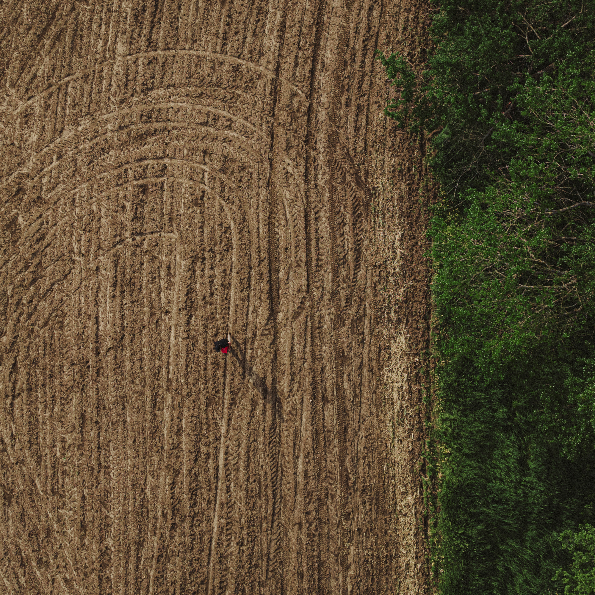 The Importance of Soil Testing for Food Plots