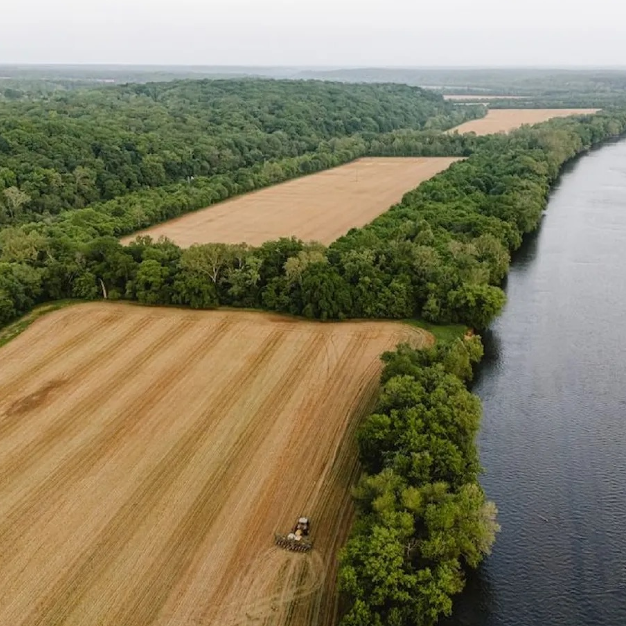 Benefits of Using Cover Crops in Food Plots